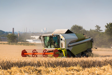 Fototapeta premium Mähdrescher bei der Arbeit