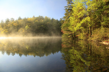 Shoreline and Reflection of Foggy Mountain Lake