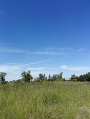 Green fields and blue skies