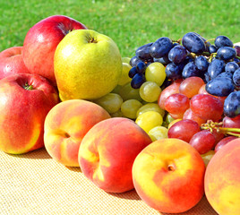 Naklejka na ściany i meble Ripe grape, peaches, pears, apples on the grass