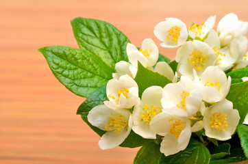 Naklejka premium Jasmine flower bouquet on wood