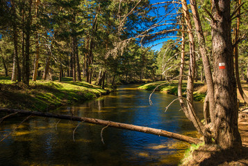 Paseo al lado de un río recorriendo una senda de largo recorrido GR en Soria