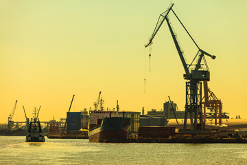 Fototapeta na wymiar heavy load dockside cranes