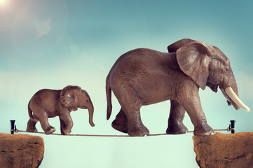 Naklejka premium mother and baby elephant on a tightrope
