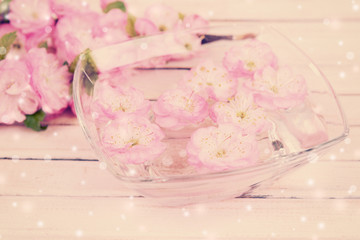 Beautiful fruit blossom in glass bowl on table on light background