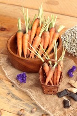 Fresh carrots on the wood background