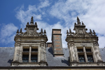 Fototapeta na wymiar château de amboise