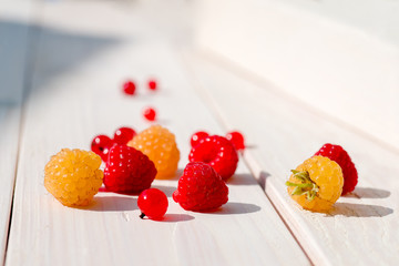 Swedia berries on a white background