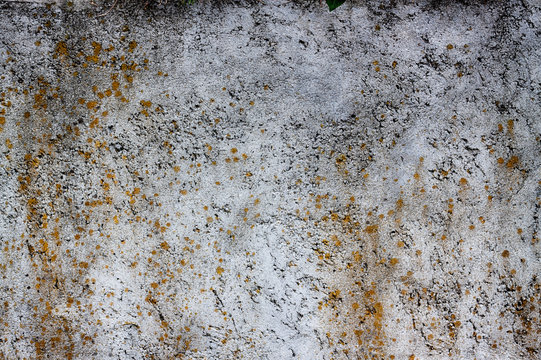 Splotchy Concrete