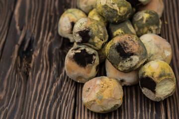 Mouldy bread on wooden board
