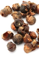 Soap Nuts on White Background
