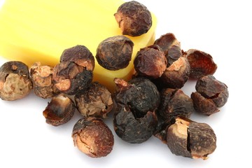 Soap Nuts on White Background