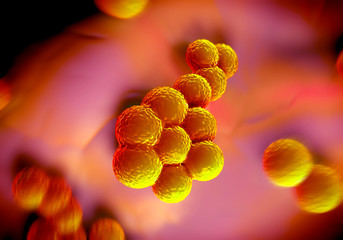 superbug bacteria or Staphylococcus aureus (MRSA) bacteria - 88443869