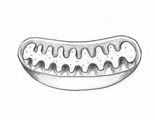 Mitochondria, artwork