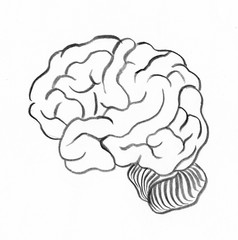 Human brain artwork