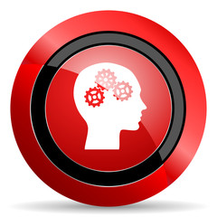 head red glossy web icon