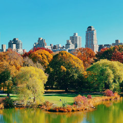 Central Park Autumn