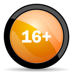 adults orange icon