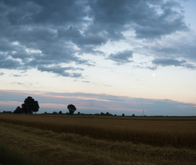 Naklejka premium clouds