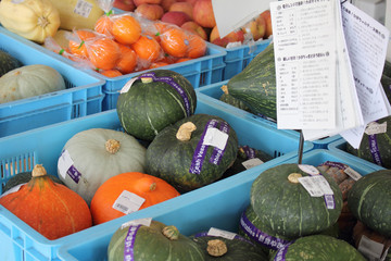 色々な種類のカボチャのかご売り場