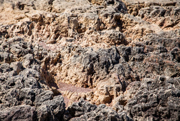 Detail of  seashore in Malta