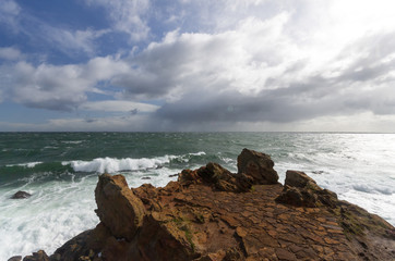 Schnapper point mornington