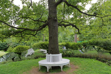 The idea of the location of the plastic benches around a tree in the garden or in the park