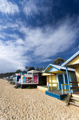 Fototapeta premium Bathing boxes on the beach vert