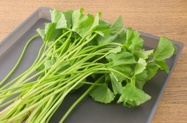 Centella Asiatica or Gotu Kola on A Tray