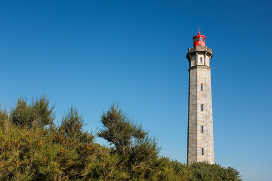 phare des baleines ile de r&eacute;