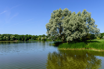 A typical Belarusian nature - a small lake with shores covered with forest, Nesvizh, Belarus.