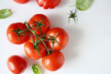 ripe tomatoes on branch