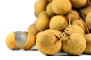 Longan, Dimocarpus longan, Family Sapindaceae, Thailand