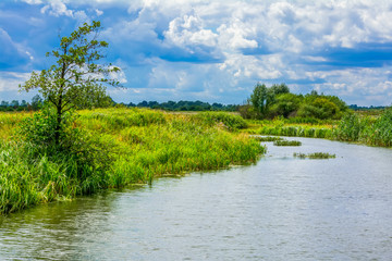 Landscape with river, trees and stormy clouds in the sky.