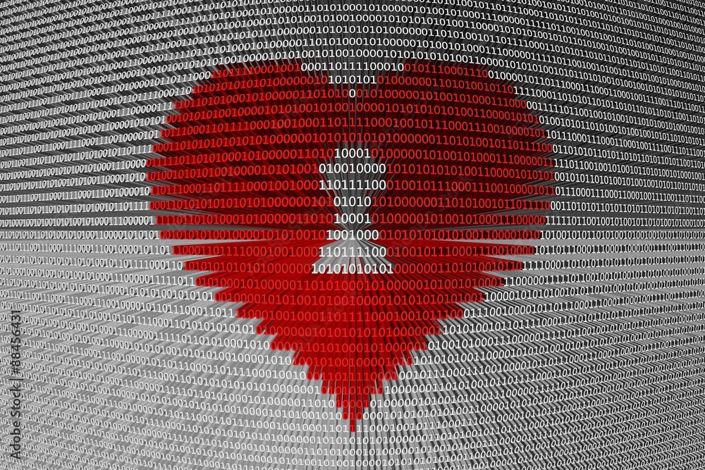 Wall mural keyhole in the heart presented in the form of binary code