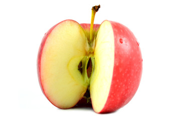 Apple fruit (Malus sp.) on white background