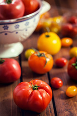 Various colorful tomatoes