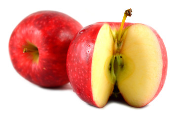 Apple fruit (Malus sp.) on white background