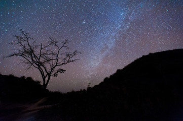 Fototapeta na wymiar Milky Way Galaxy, Night Sky with Amazing Stars.