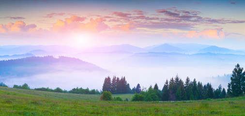 Panorama of the summer morning in the foggy Carpathian mountains