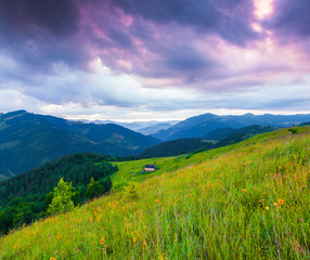 Fototapeta premium Colorful summer sunrise in the Carpathian mountains