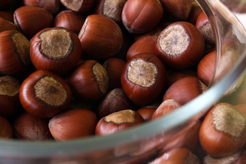 hazelnuts in glass jar
