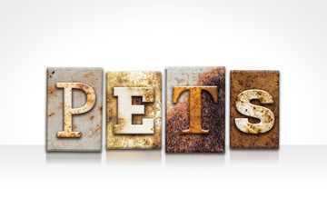 Pets Letterpress Concept Isolated on White