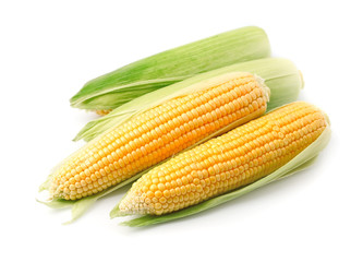 Fresh corn