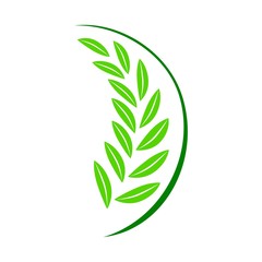 Wheat Icon green