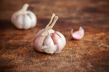 Garlic organic on wooden background
