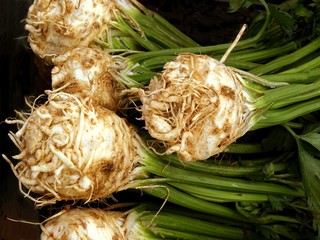 root celeries as spicy,fragrant vegetable © Maria Brzostowska