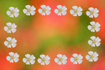 Hintergrund unscharfe Blumen mit Umrahmung aus Wildrosen