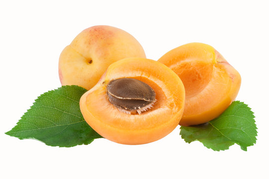 apricot fruit cut half fruit with core