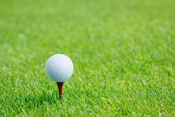 Golf ball on tee
